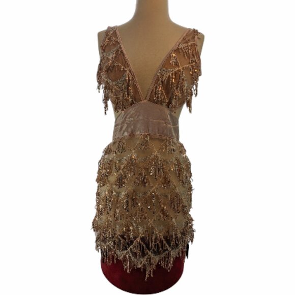 Dress L Sequin Tassel Fringe Sheer Mesh Champaign Louisa Mini Bella Barnett New - Picture 3 of 9